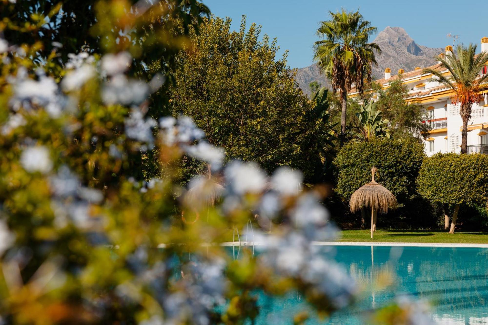Ground Floor Holiday Apartment With Terrace And Pool In Puerto Banus, Marbella Exterior photo